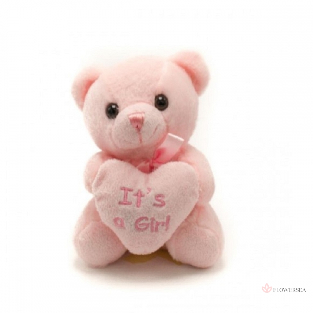 �������� ����