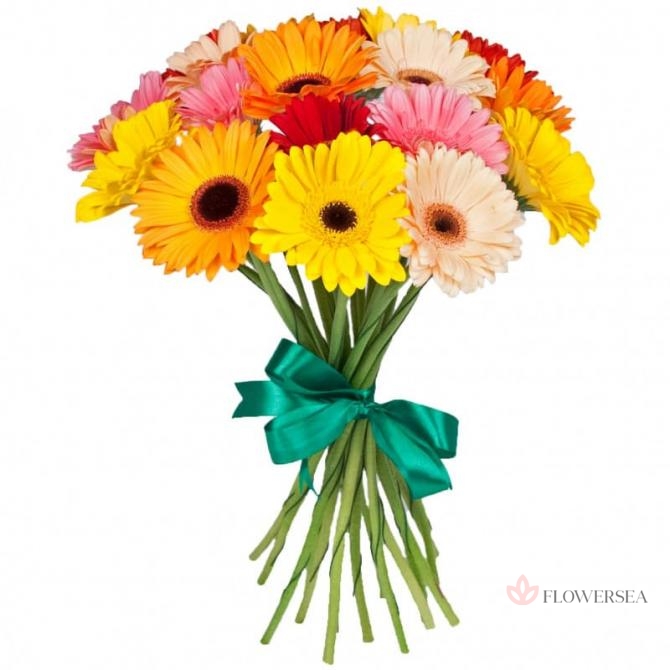 ����� � 15 ������