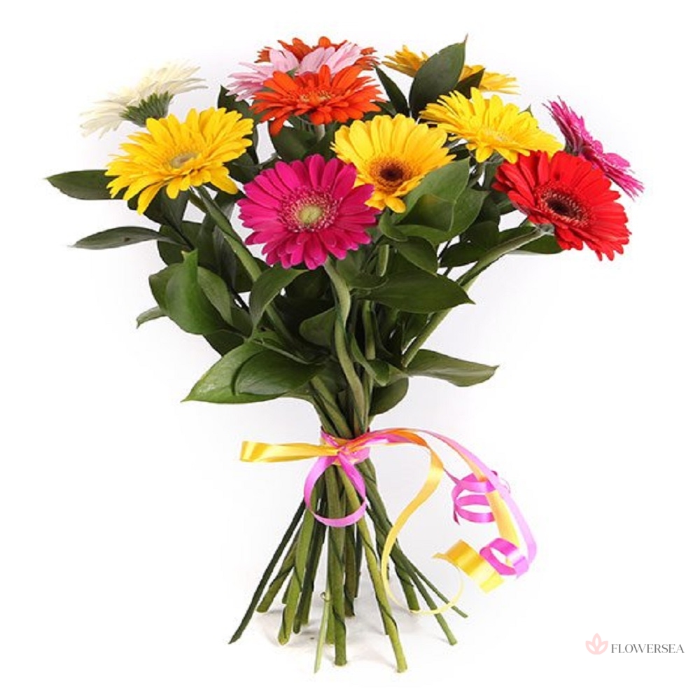 ����� � 11 ������