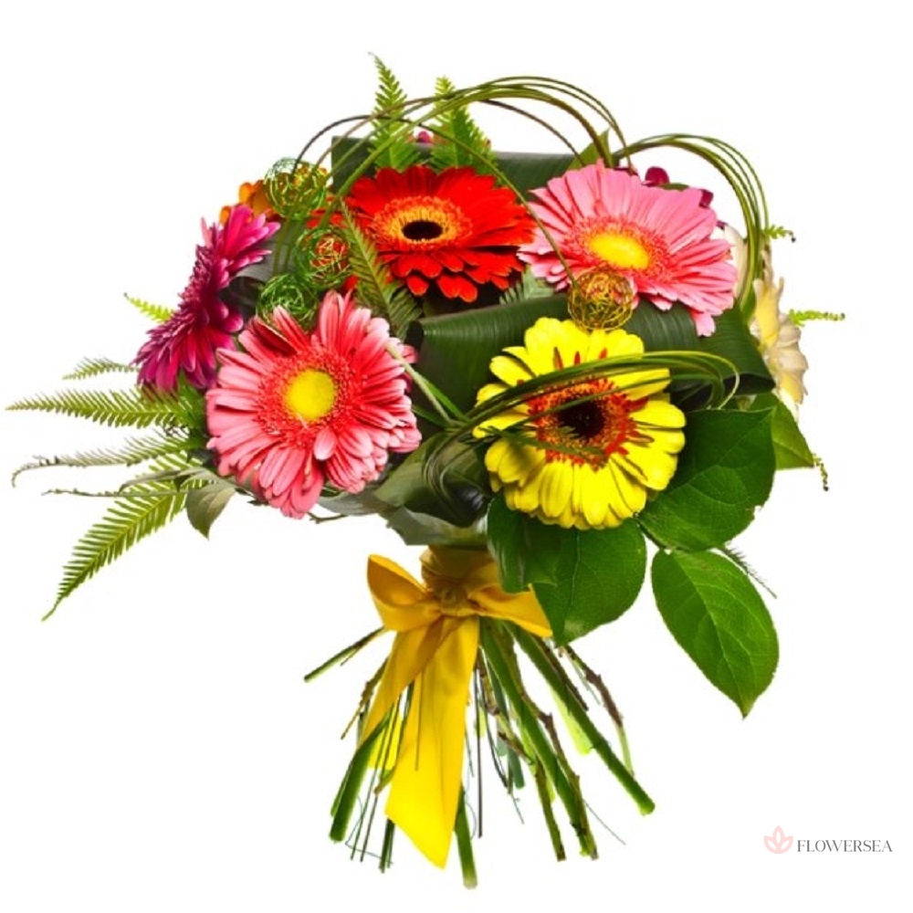 ����� � 9 ������