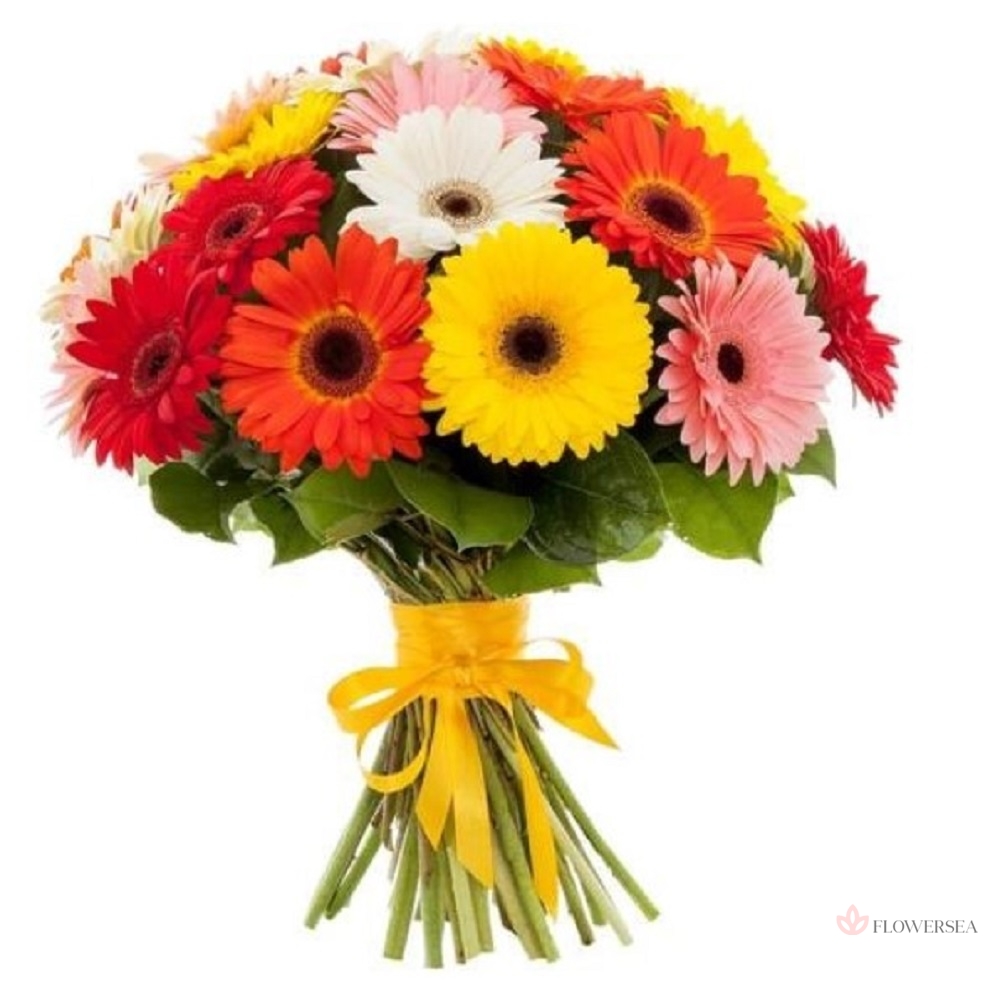 ����� � 21 ������������� �������