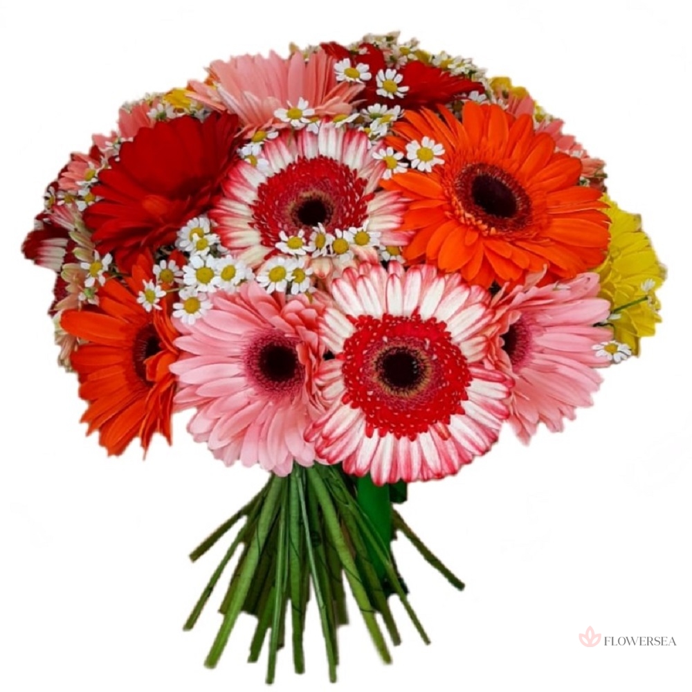 ����� � 19 ������