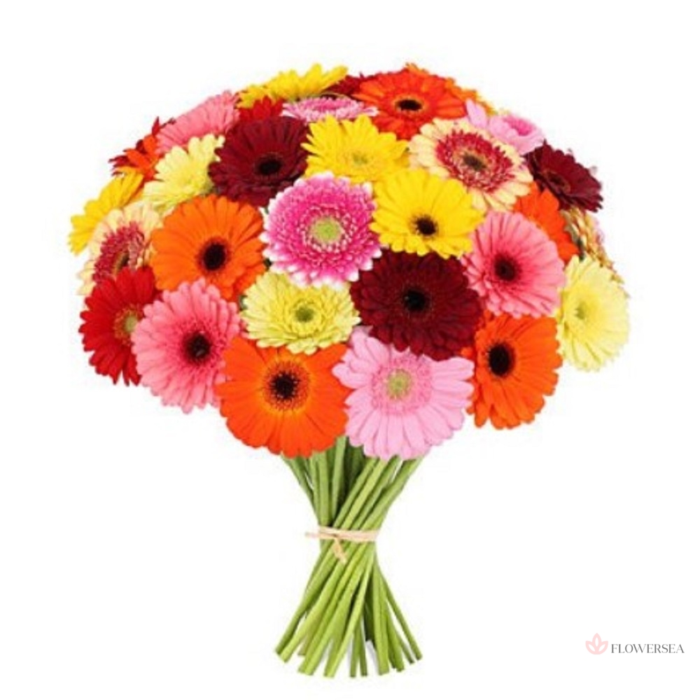 ����� � 35 ������