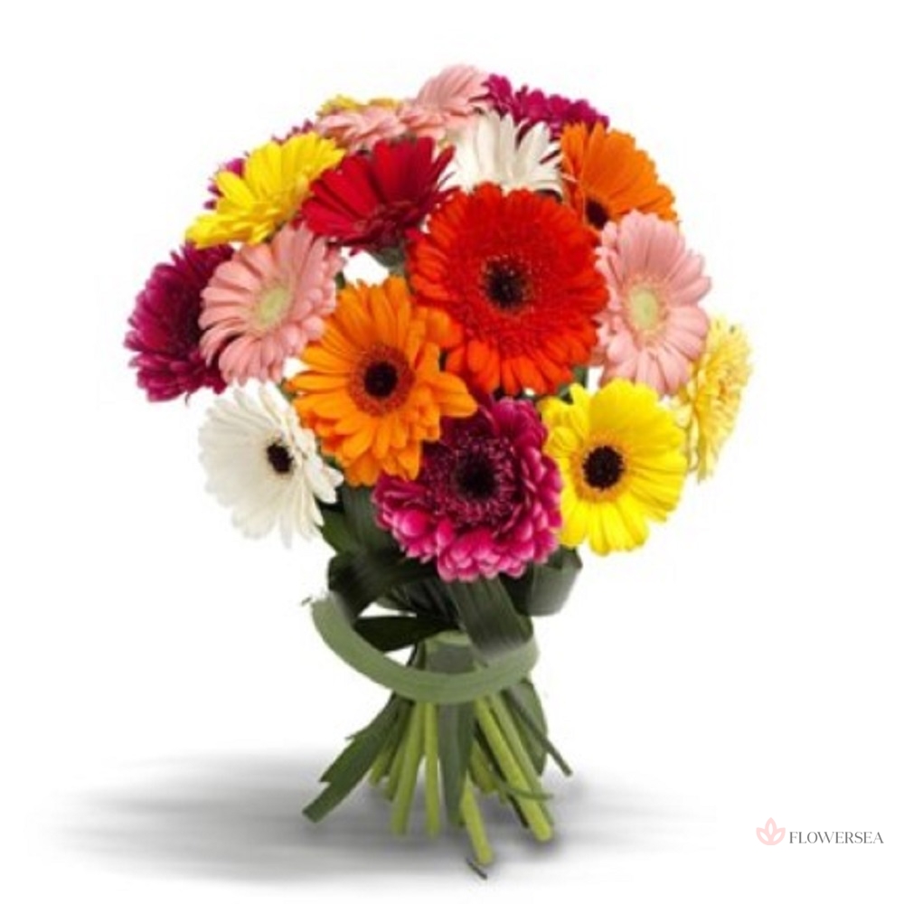 ����� � 15 ������