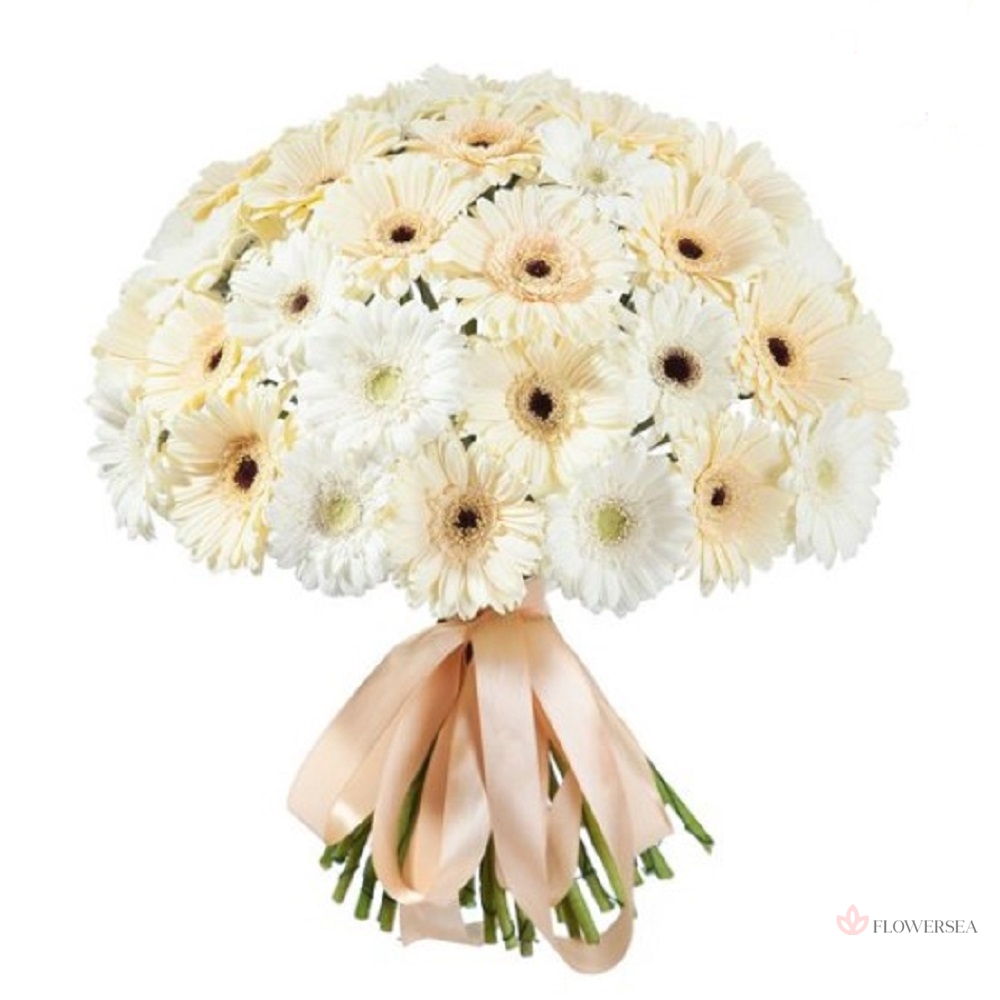 ����� � 35 ������ 