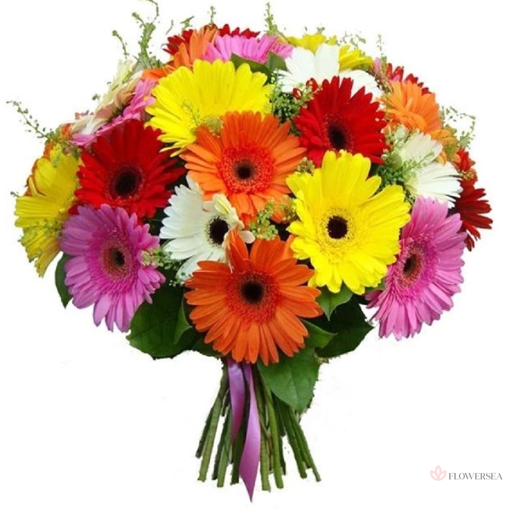 ����� � 21 ������� 