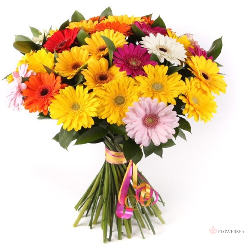 ����� 25 ������ 