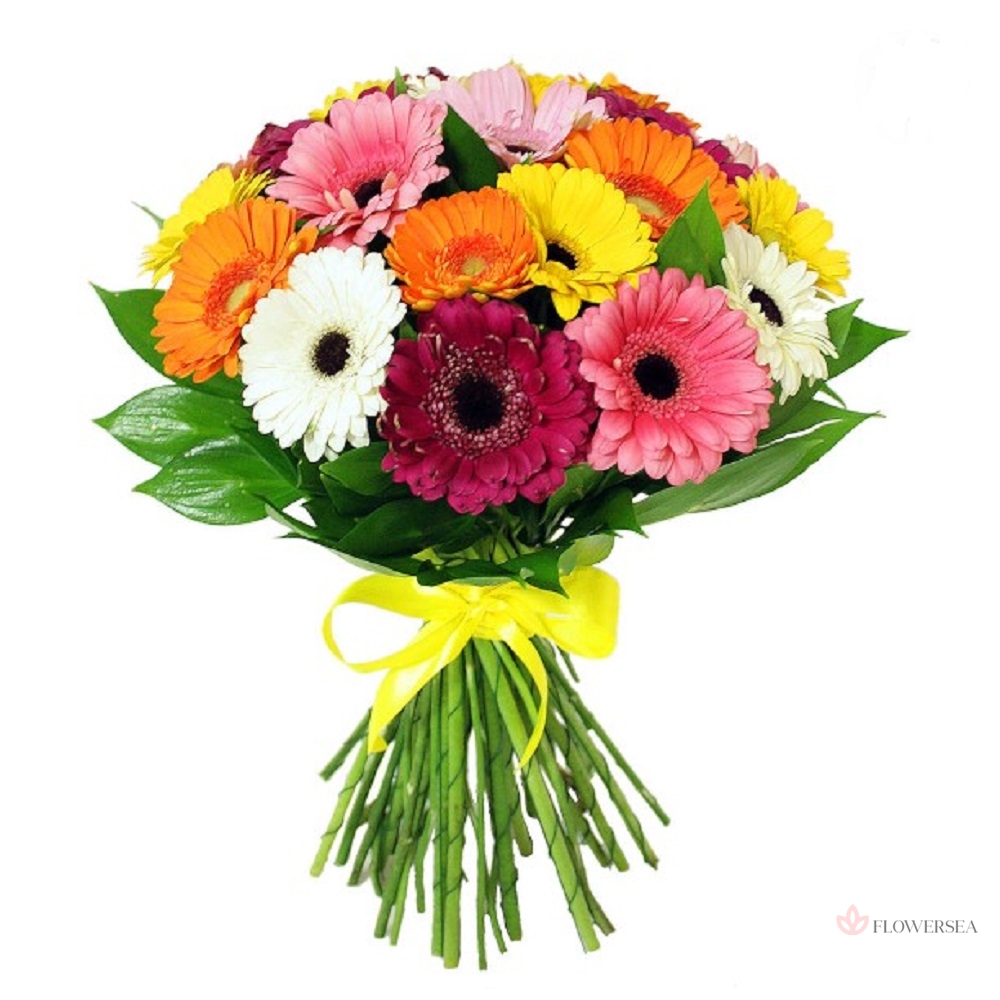 ����� � 21 ������� 