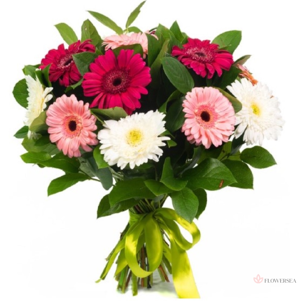 ����� � 11 ������ 