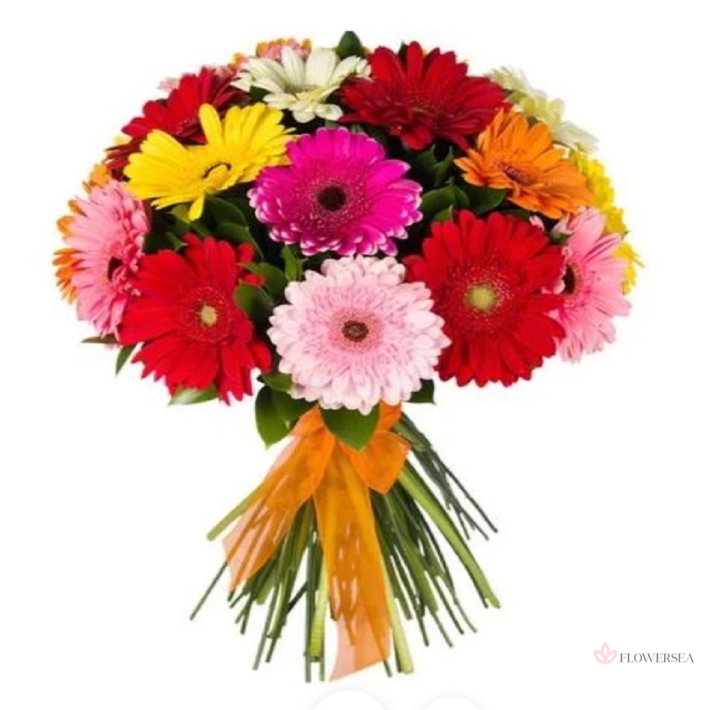 ����� � 15 ������ 