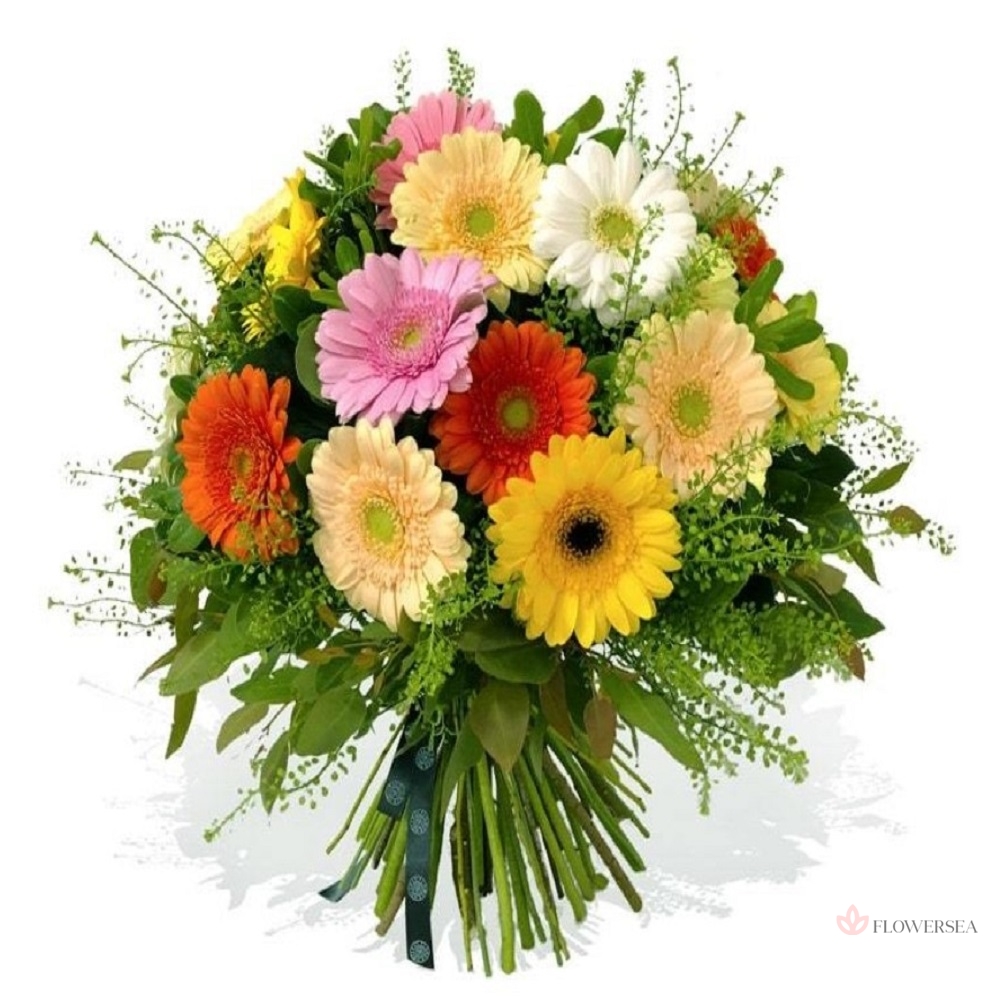 ����� � 19 ������ 