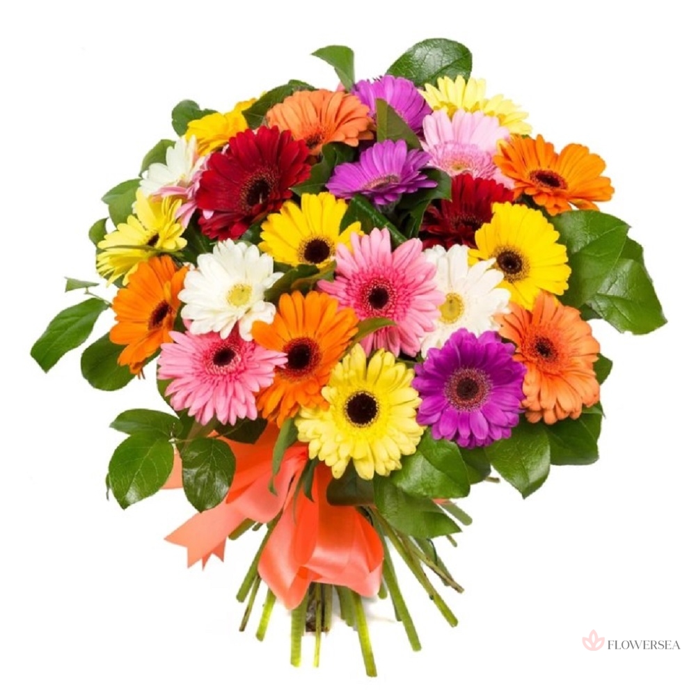 ����� � 25 ������ 