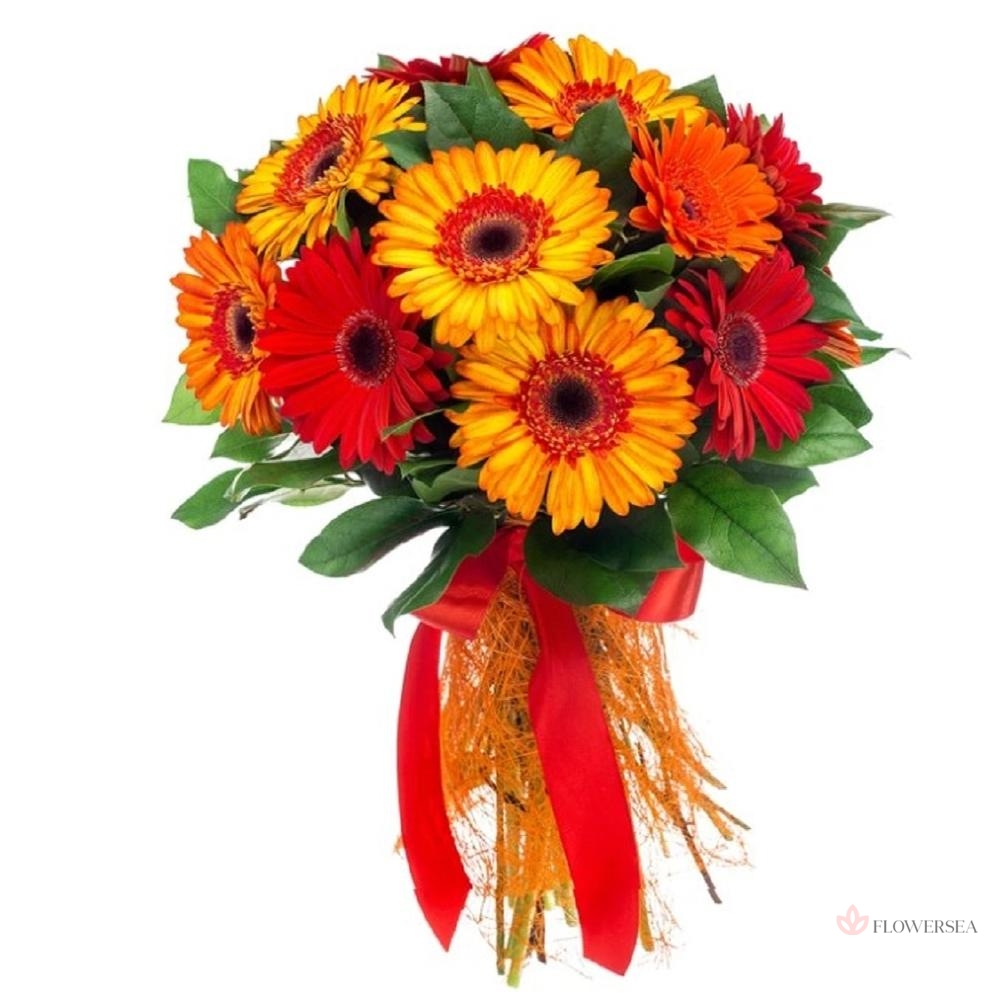 ����� � 11 ������ 