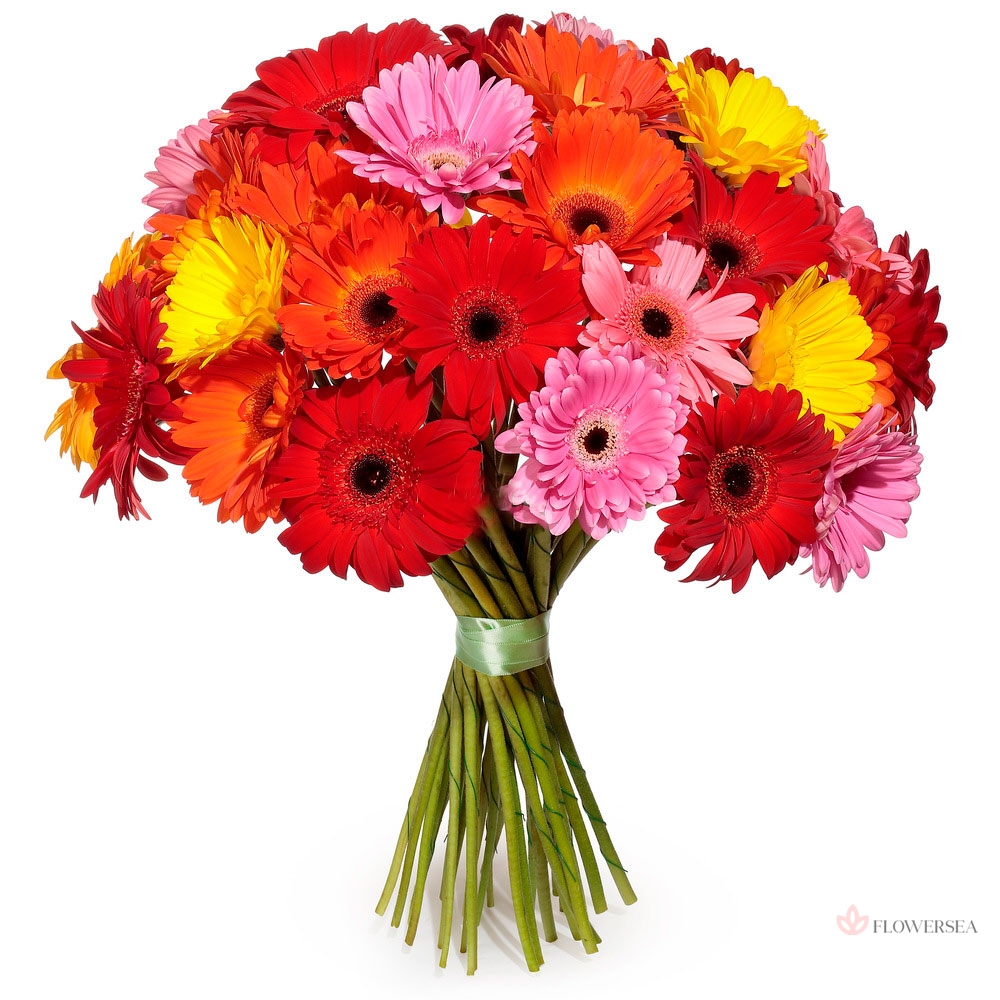 ����� � 35 ������