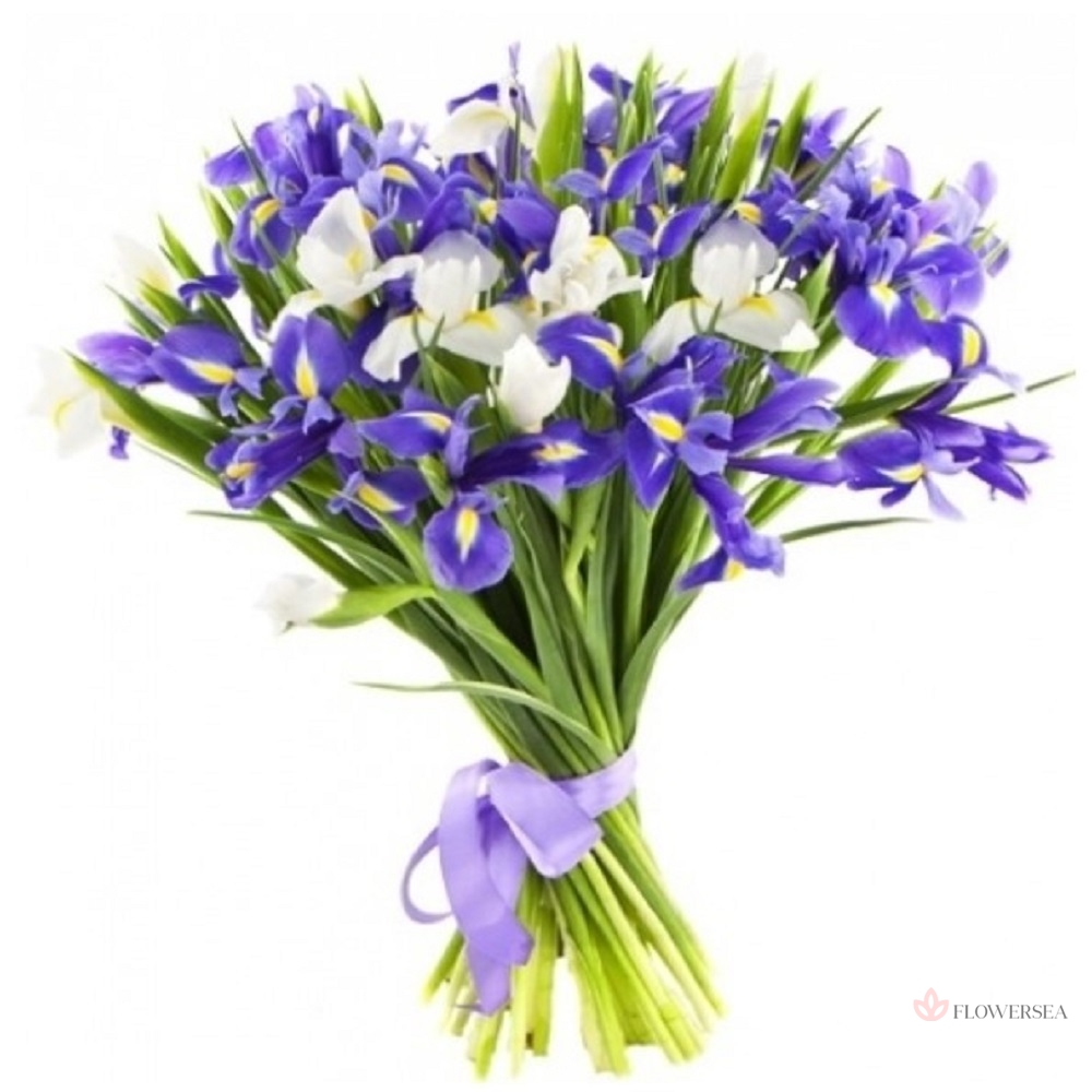 19 ����� �����