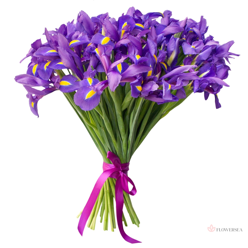 19 ����� �����