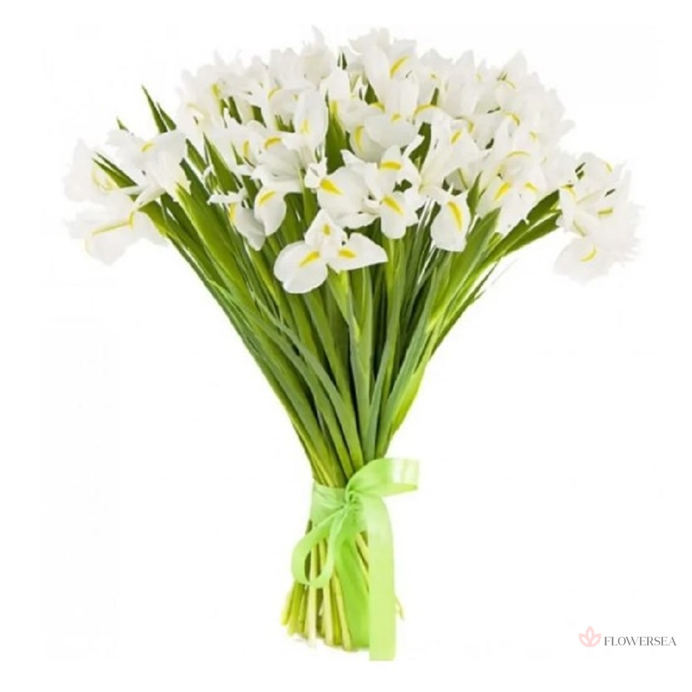 19 ���� �����