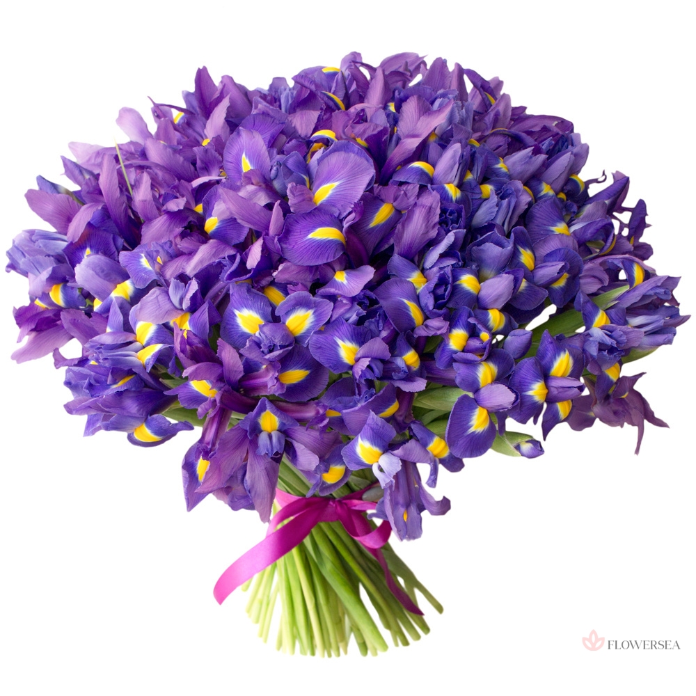 101 ����� ����