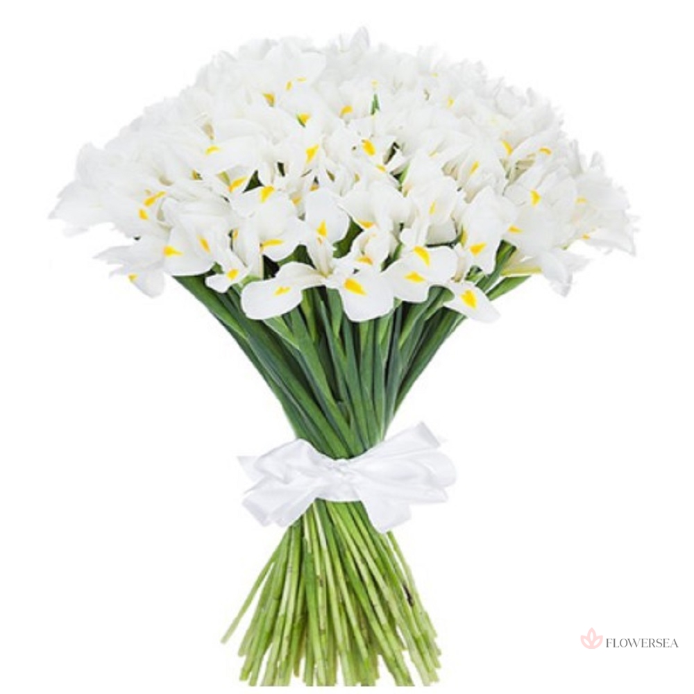 51 ���� ����