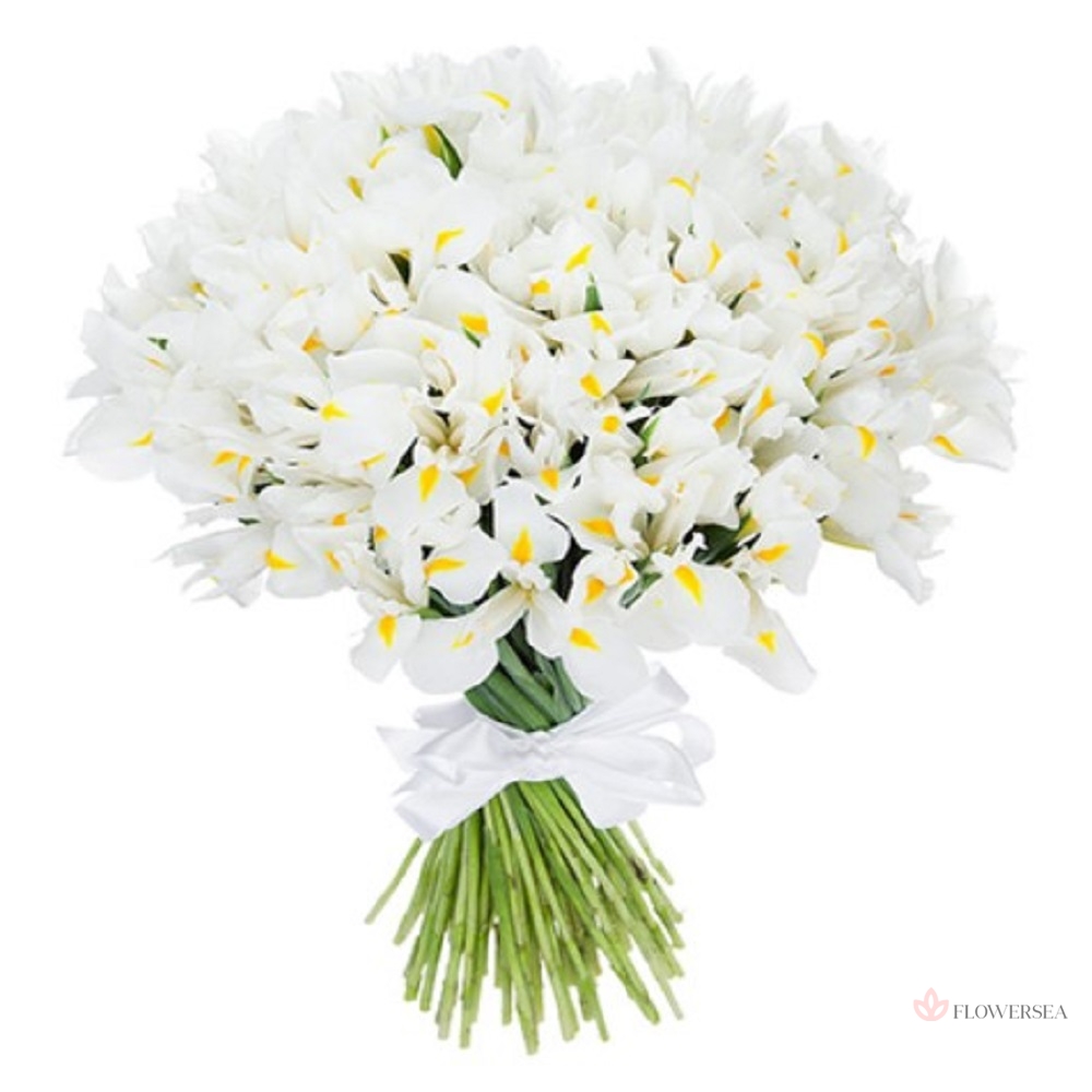 101 ���� ����