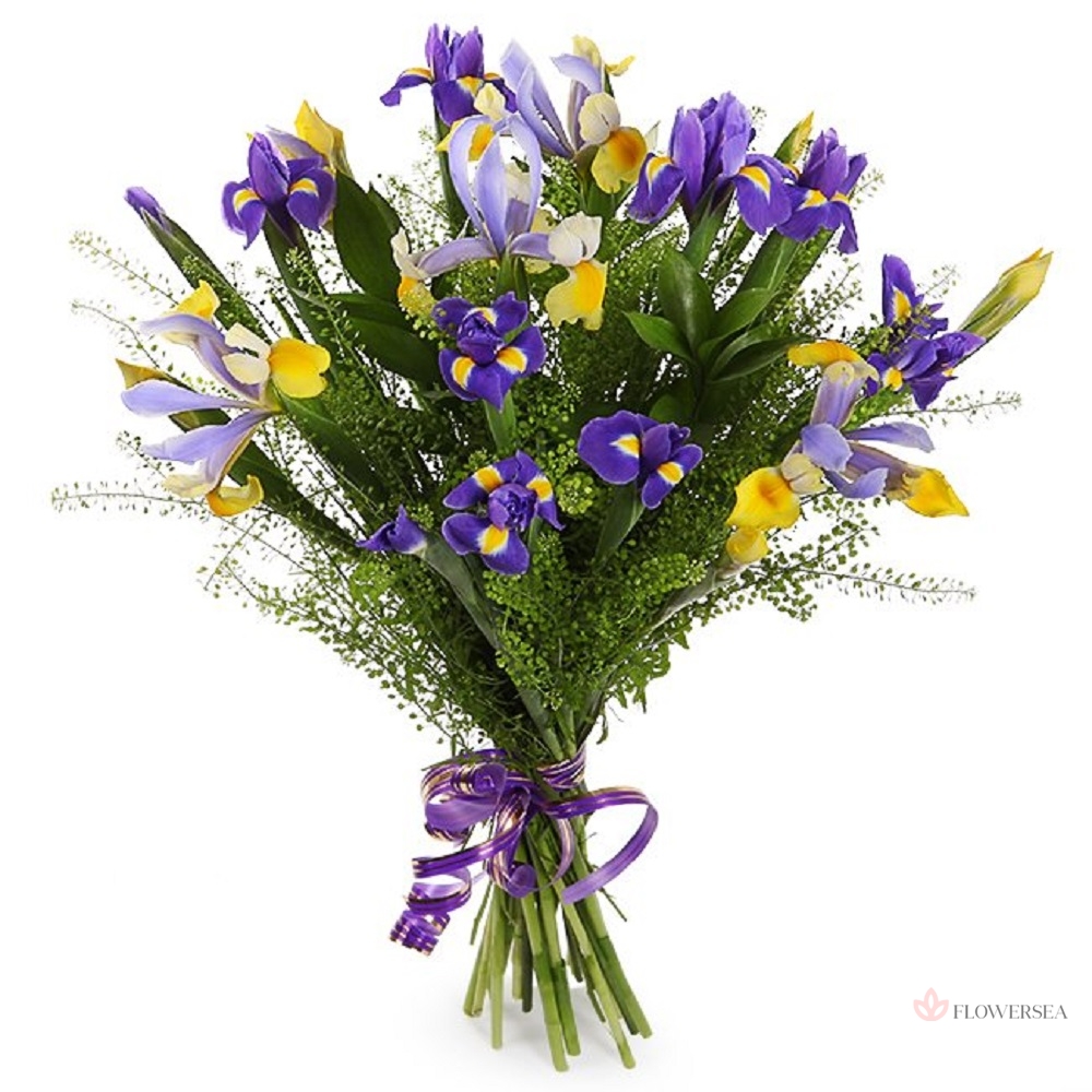 15 �������������� �����