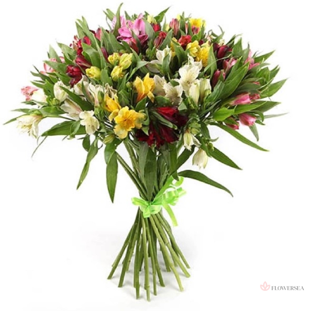 15 �������������� �����������