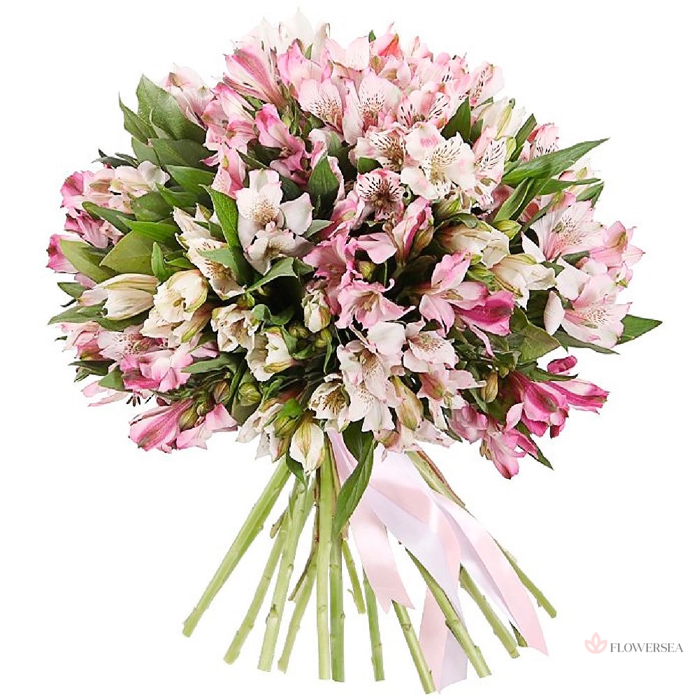 19 ������ �����������