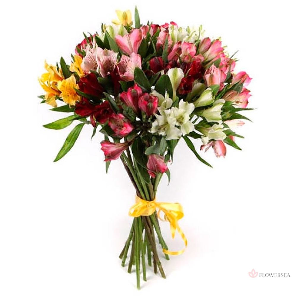 11 ��������� �����������