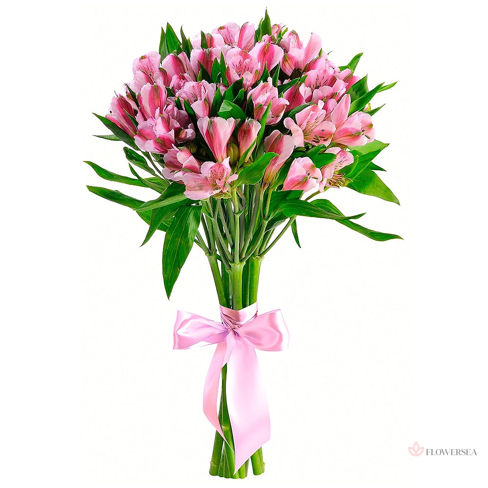 9 ������� �����������