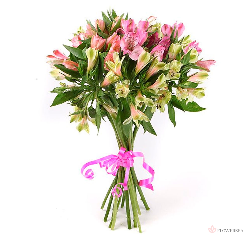 9 �������� �����������