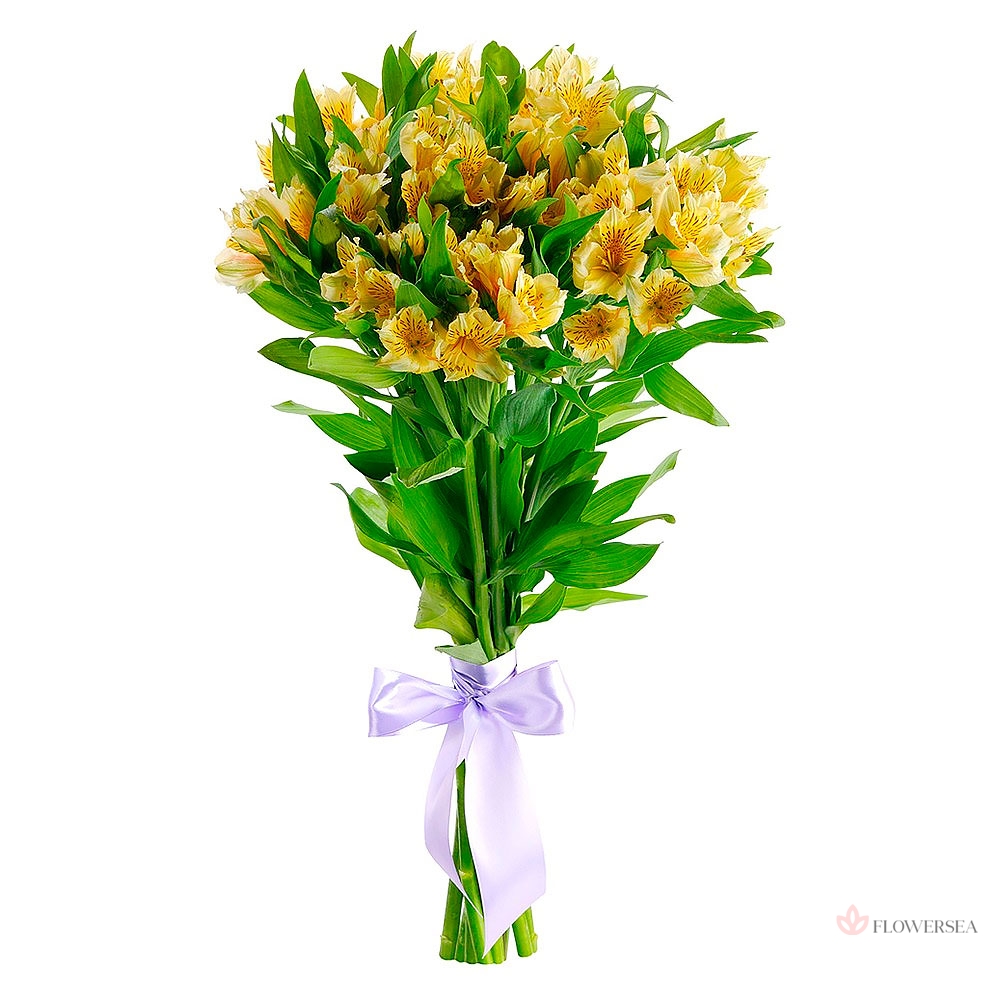 9 ������ �����������