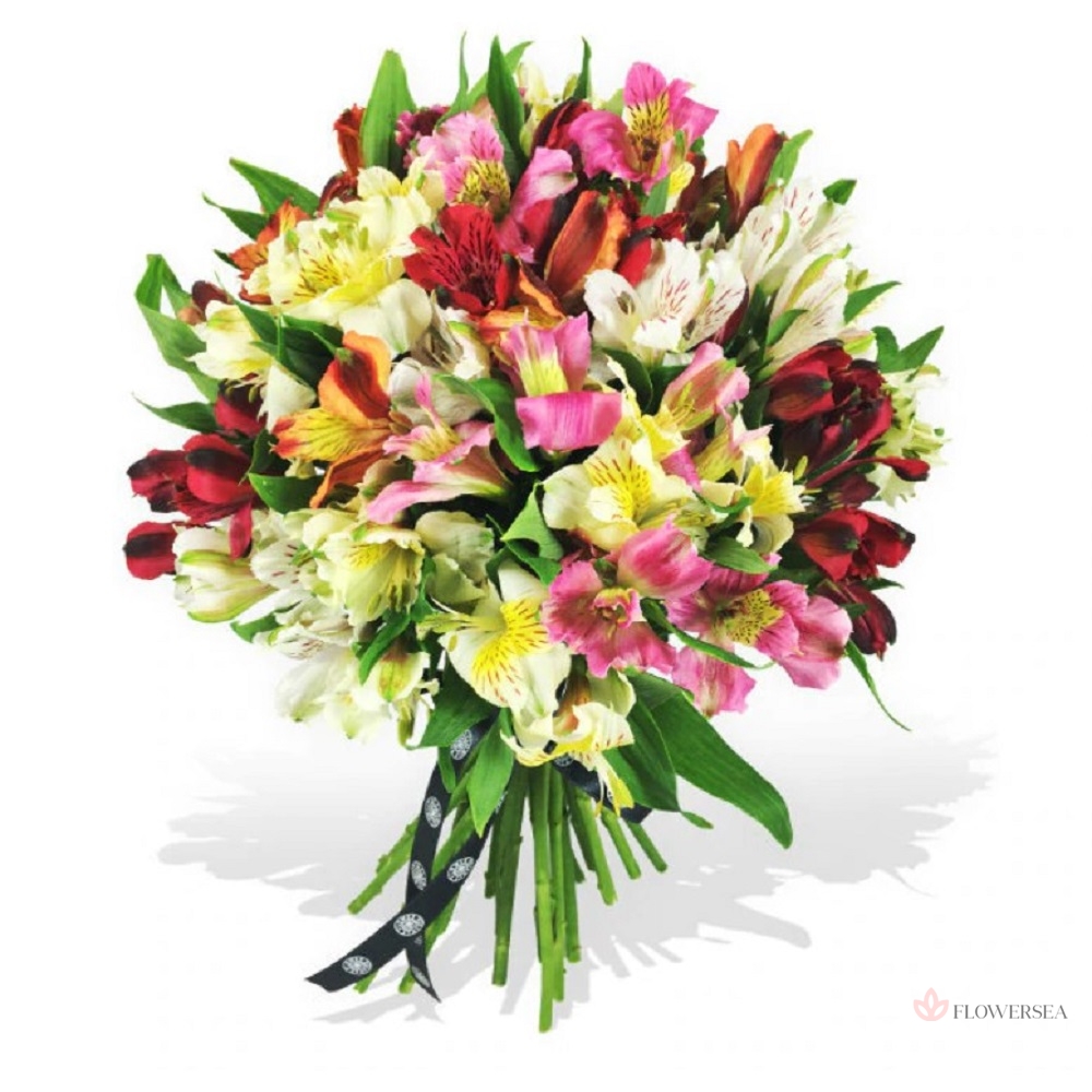 19 �������������� �����������