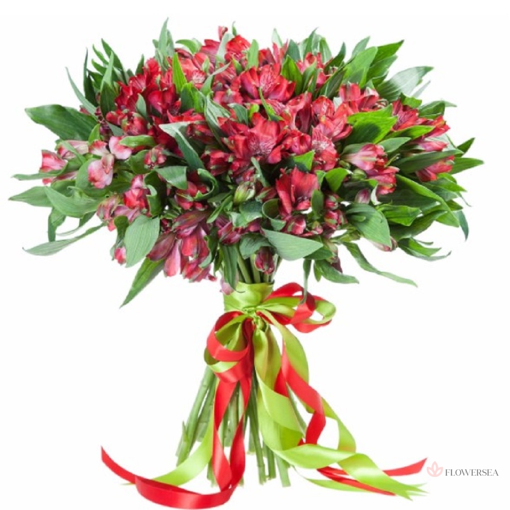 19 �������� �����������