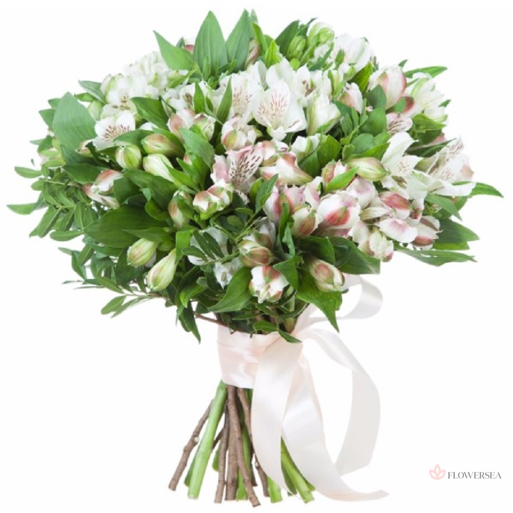 19 ���� ����������� �� �������