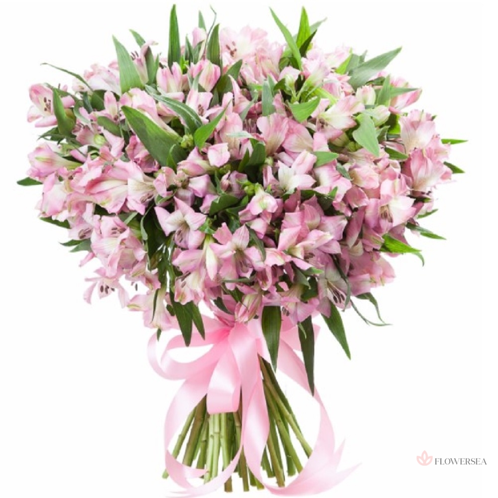 31 ������ �����������