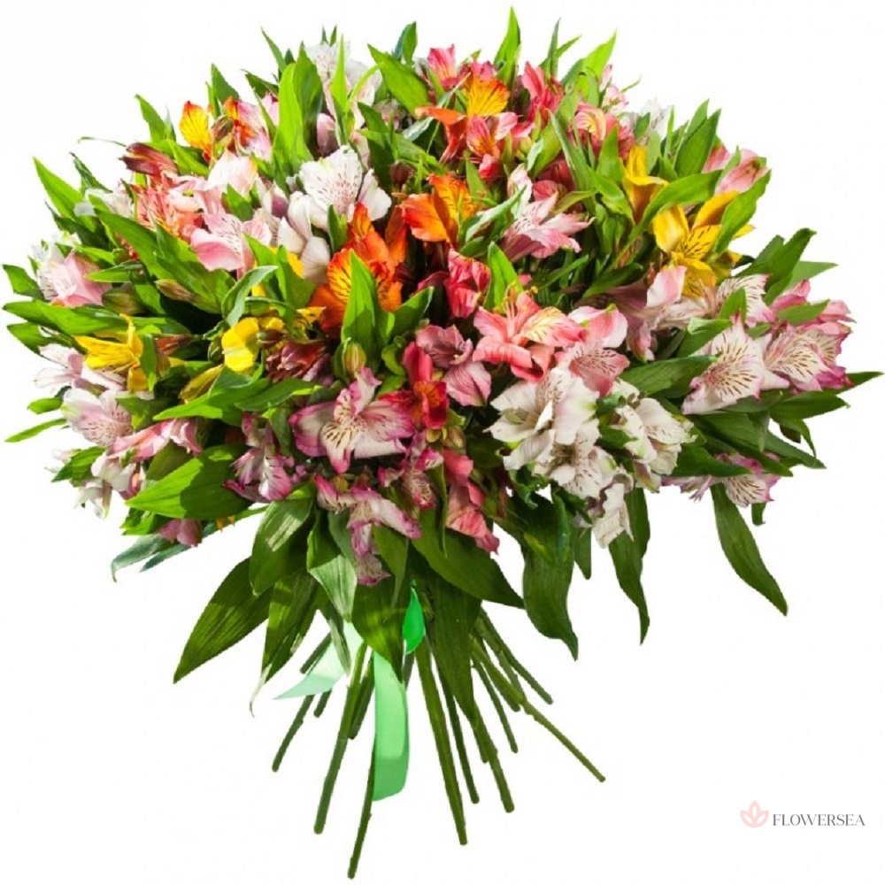 21 ������������� �����������