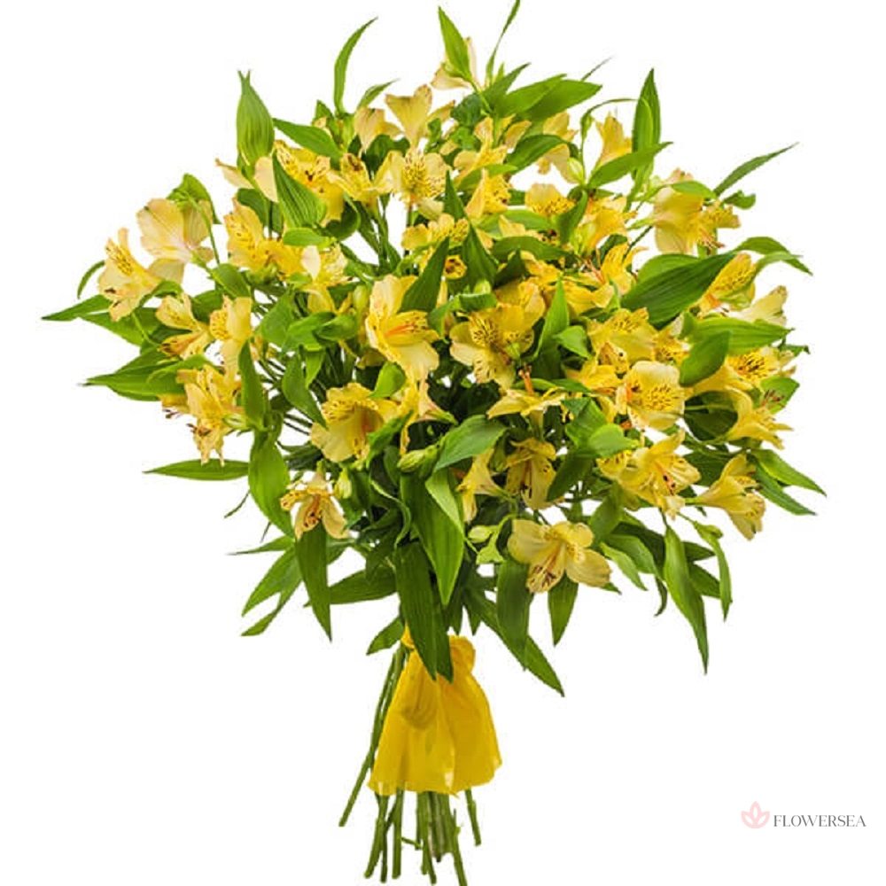 11 ������ �����������