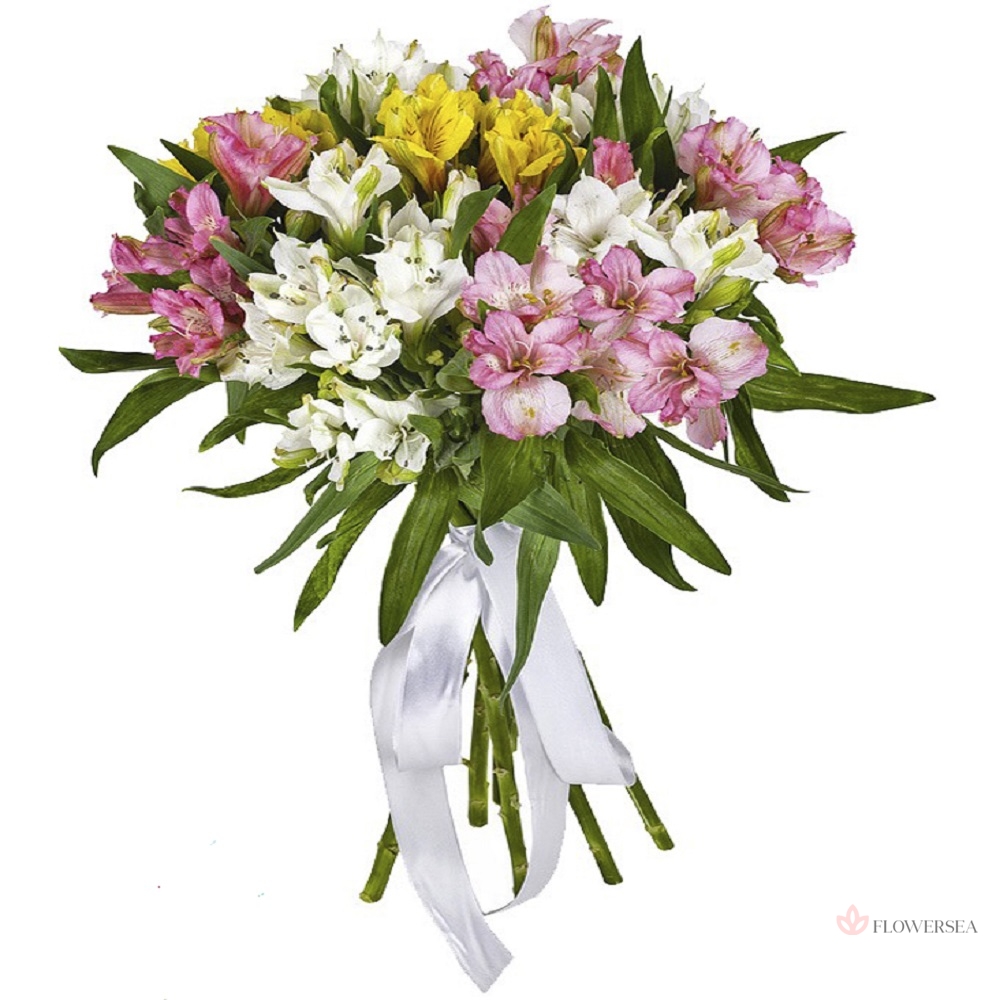 9 ������ �����������