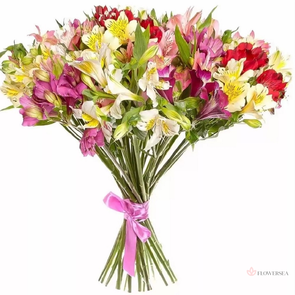 15 �������������� �����������