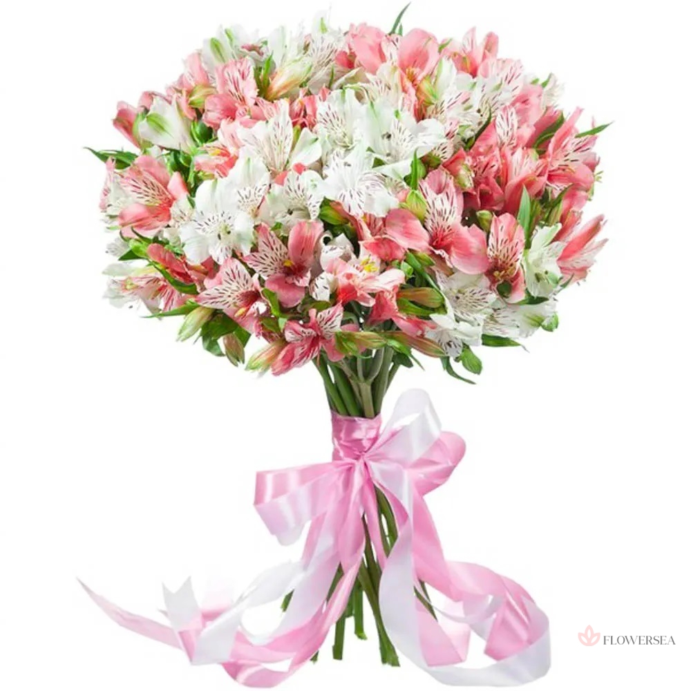 15 ���� � ������� �����������