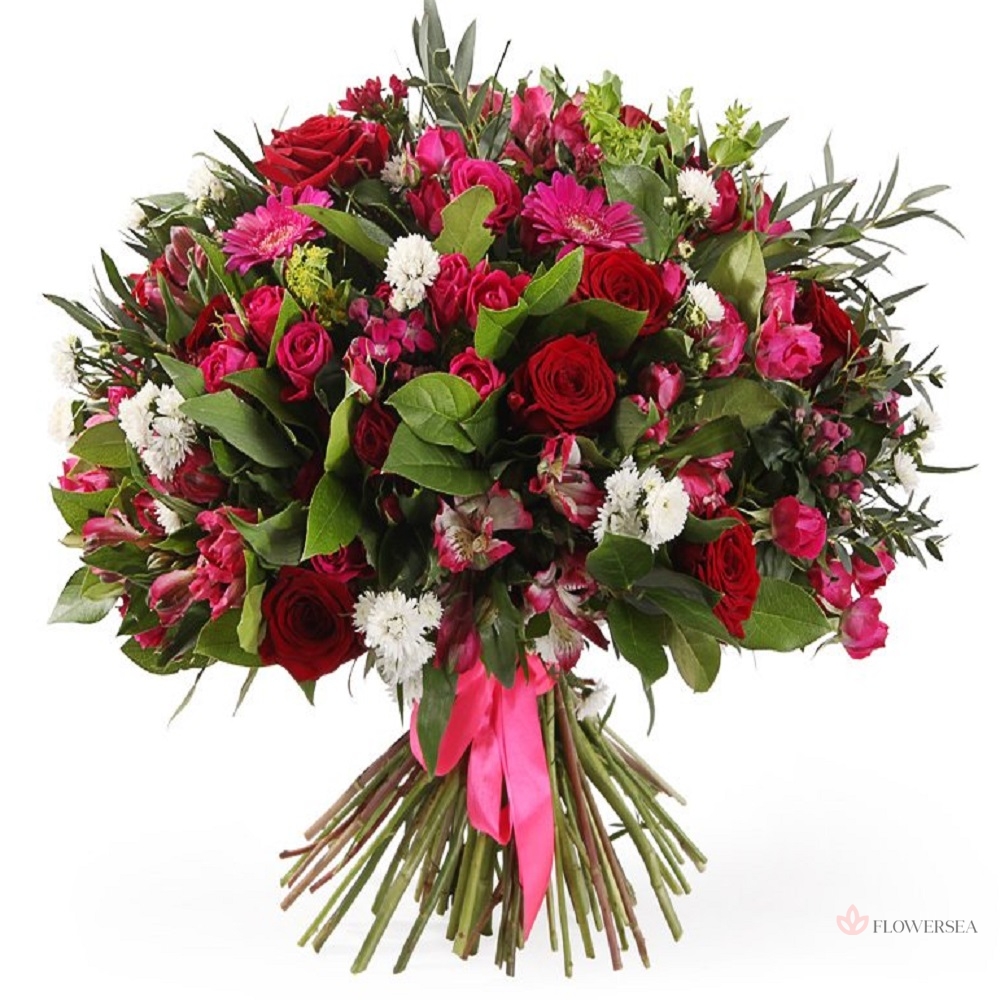 �������� ����� 