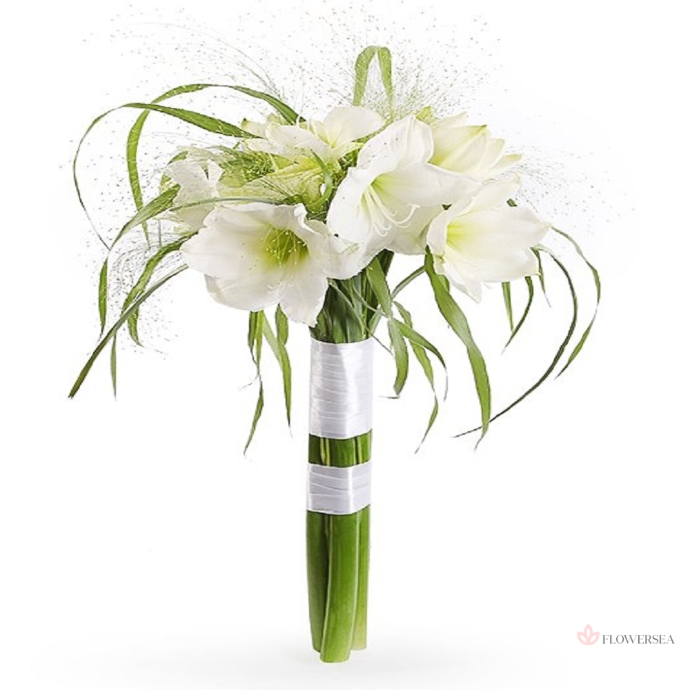 3 ���� �������� � �������