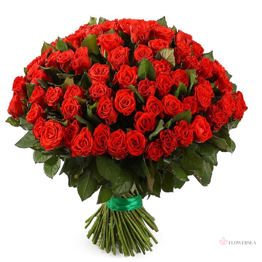 101 ������� ��� ����