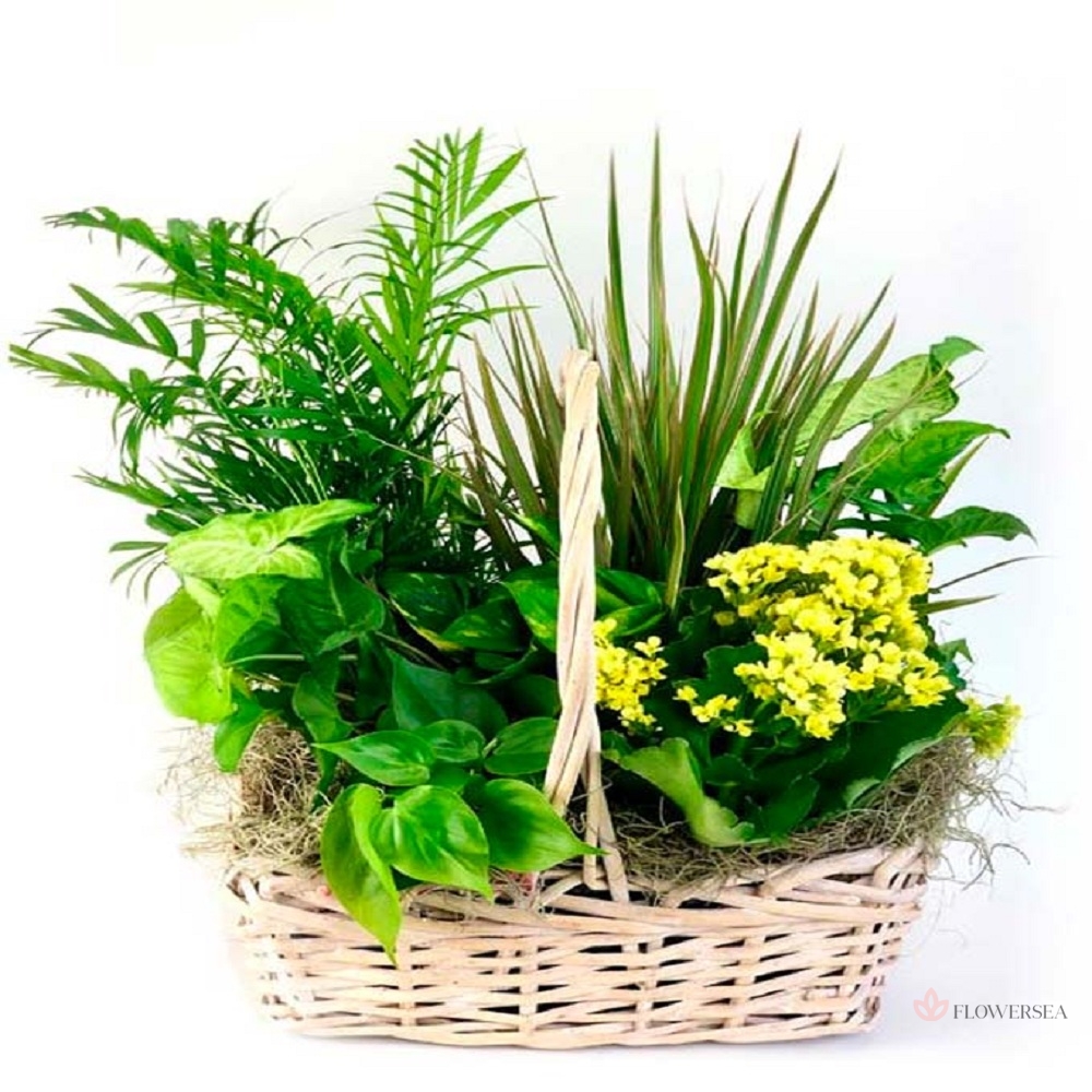 ���������� � �������� ������