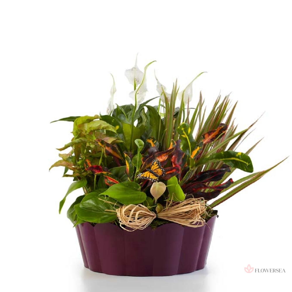 ������� ����� � �����