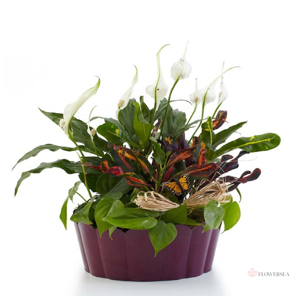 ʳ������ ������� � �����