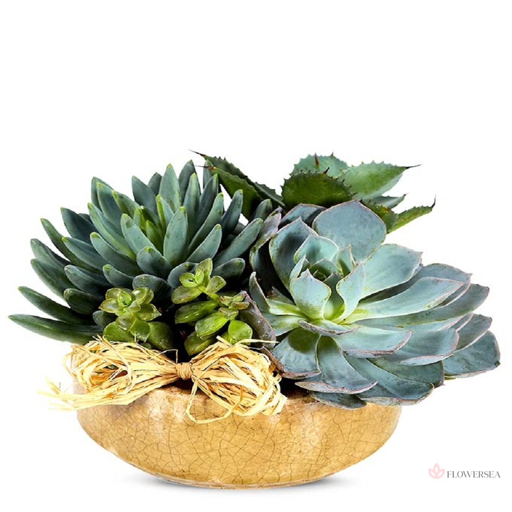 ���������� � �����