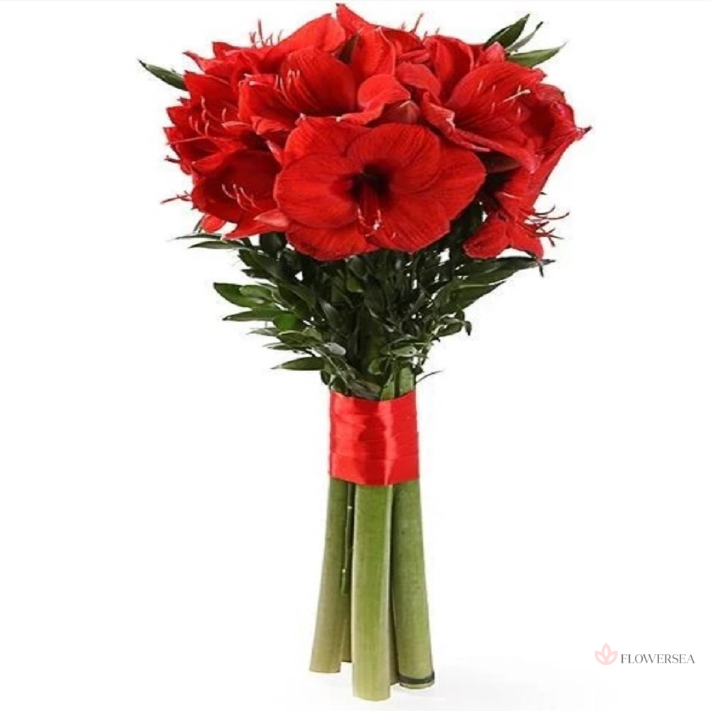 5 �������� ��������