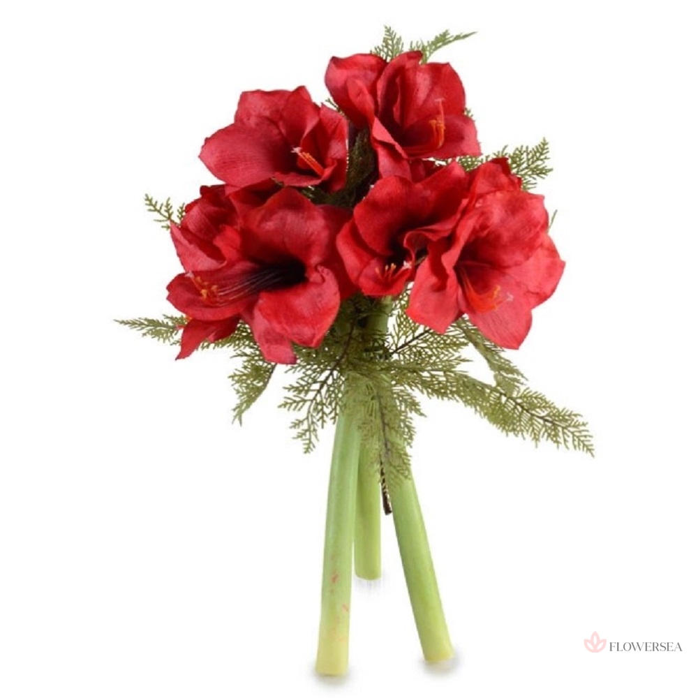 3 �������� ��������