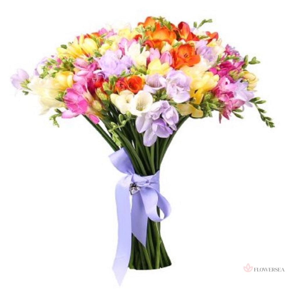 19 �������������� �����